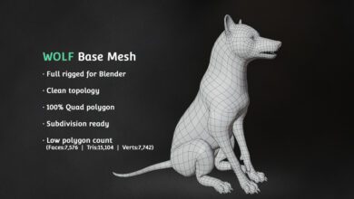 Wolf Base Mesh - Blender Market