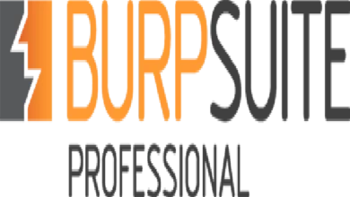 Burp Suite Professional 2022.8.4