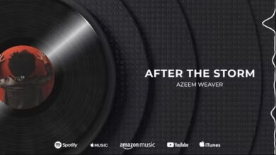 Videohive - Vinyl Record Music Visualizer 40425667