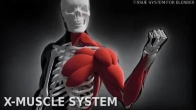 Blender Market - X-Muscle System 3.0 XL