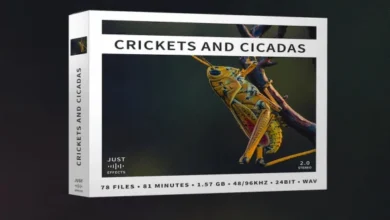 Just Sound Effects - Crickets and Cicadas