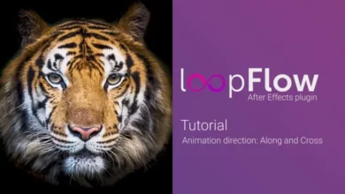 Loopflow 1.2 (for After Effects) Preactivated