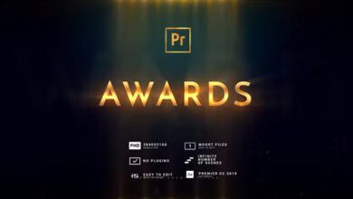 Videohive - Awards | 4K Lights - 40026693 - Premiere Pro Templates