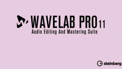 Steinberg WaveLab Pro 11.1.20