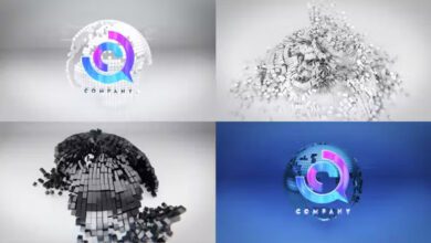 Videohive Cube Globe Logo Reveal Bundle 40387455