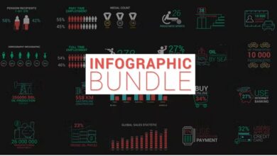 Videohive - Infographic Bundle - 40375847