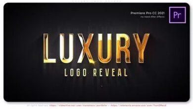 Videohive Luxury Logo Reveal 40234343 Free