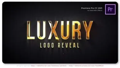 Videohive Luxury Logo Reveal 40234343 Free