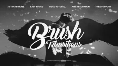 Videohive - Paint Brush Transitions - 21254214