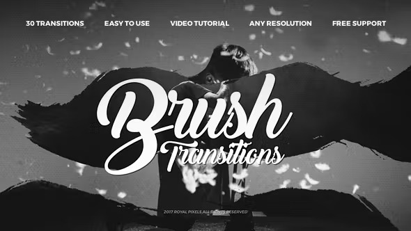 Videohive Paint Brush Transitions 21254214