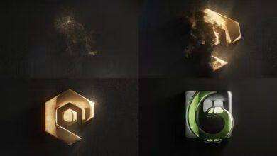 Videohive - Premium Particle Logo