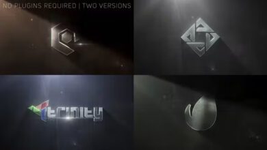 Videohive - Rise Logo - 22660075