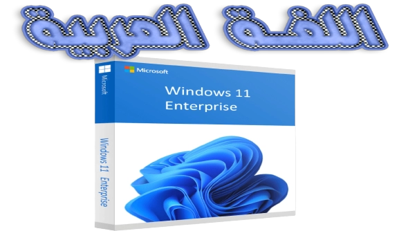 Windows 11 Enterprise 22H2 Build 22621.674 (No TPM Required) Preactivated Multilingual October 2022