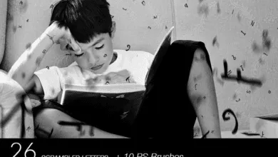 اكثر من 2500 تراكيب الصور عالية الدقة || 2500+ Photo Overlays Mega Pack - Inkydeals