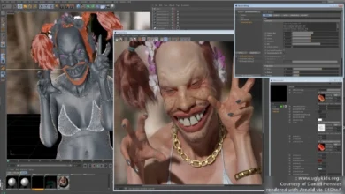Arnold Renderer C4DtoA 4.4.0.1 Cinema 4D R21-2023 Win/Mac