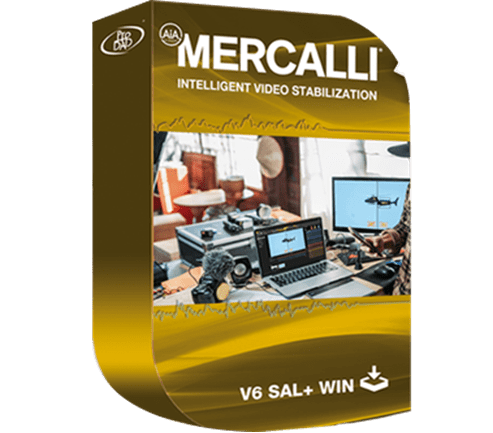 proDAD Mercalli V6 SAL All Editions v6.0.622.3 x64