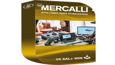 proDAD Mercalli V6 SAL All Editions v6.0.622.3 x64