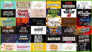 احدث الخطوط اليومية المدفوعة  Collection Font Bundle