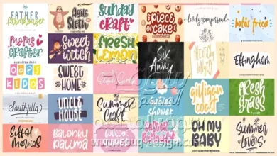 Crafter Fonts Bundle