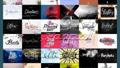 Hand Lettered Font Bundle