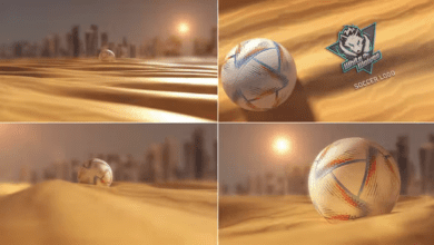 Videohive - Soccer Logo - 41709404