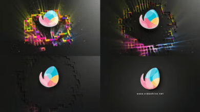 Videohive - Logo bounce wave reveal - 39856469