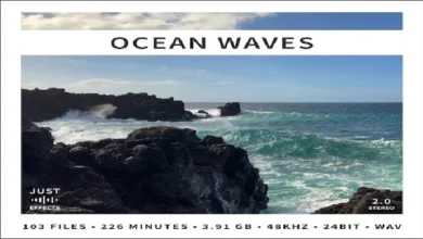 Ocean Waves Just Sound Effects