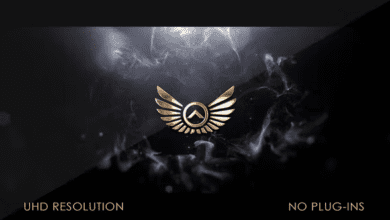 Videohive - Logo Elegance - 40790004