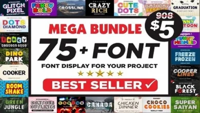 75 Best Display Font Bundle