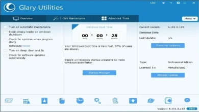 Glary Utilities Pro 5.199.0.228