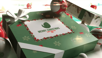 Videohive - Christmas Box Logo - 42002271