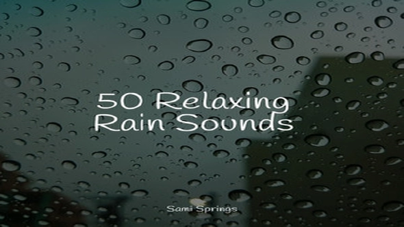 مكتبة المؤثرات الصوتية الاحترافية – 50 صوتًا هادئًا للمطر الشتوي