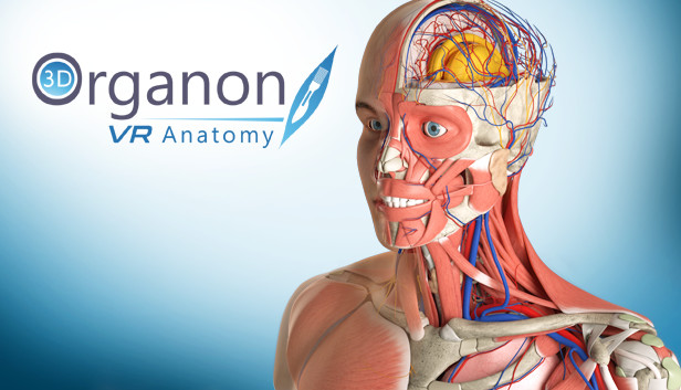 PORTABLE 3D Organon Anatomy v3.0.0