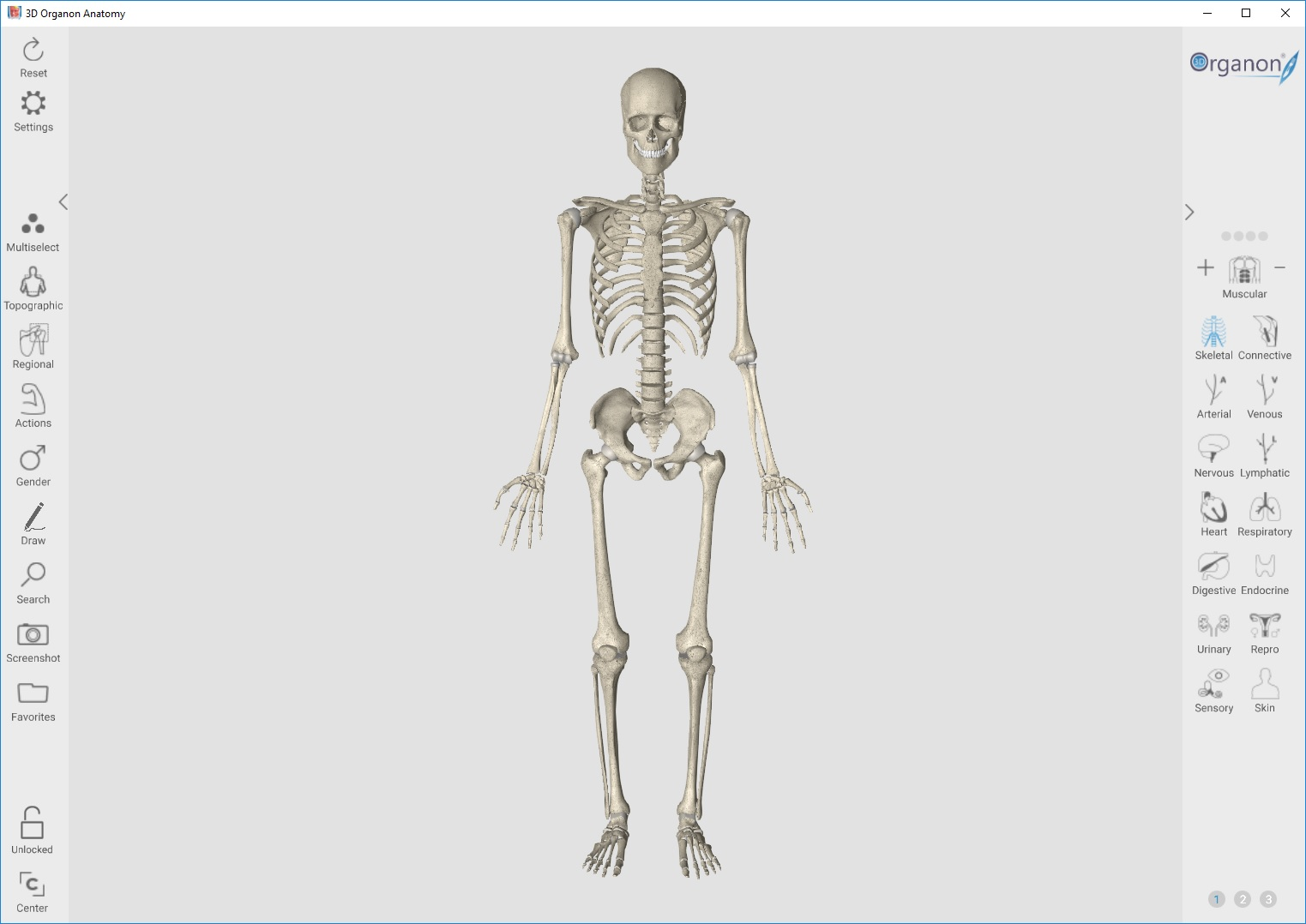 PORTABLE 3D Organon Anatomy v3.0.0