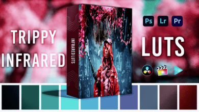 Media Monopoly Creator Gold Preset Bundle – Premiere Effects & Luts