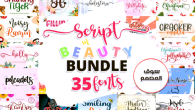 Script in Beauty Font Bundle