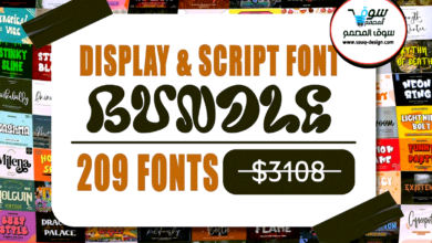 Display & Script Font Bundle
