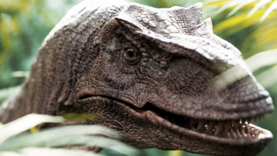 Raptor Dinosaur 3D model Realistic and Rigged – Blender Market