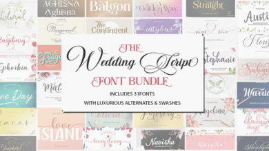 The Wedding Script Font Bundle