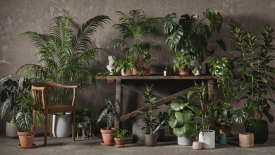 48 Interior 3D Plants Pack 01 | 3DCollective