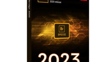 Adobe Bridge 2023 13.0.3.693 (x64) Multilingual