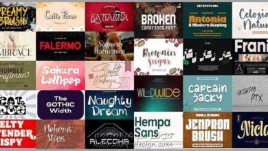 Special Font Bundle