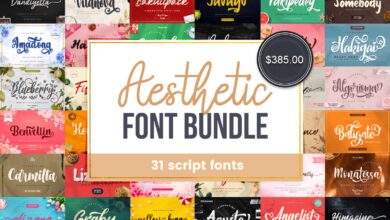 Aesthetic Font Bundle