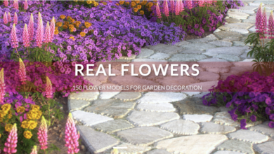 Real Flowers - 3D flower models for architectural visualization