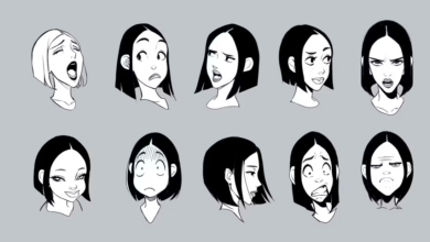 2danimation101 Face Drawing Mastery Drawing Bootcamp