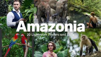 Amazonia Lightroom Presets and LUTs