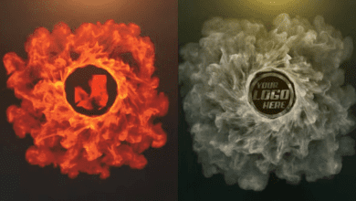 Videohive - Portal Logo | Premiere Version 36230874