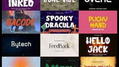 Special Font Bundle