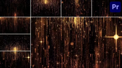 Videohive Gold Backgrounds for Premiere Pro 45548744