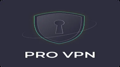 The Pro VPN v1.0.5